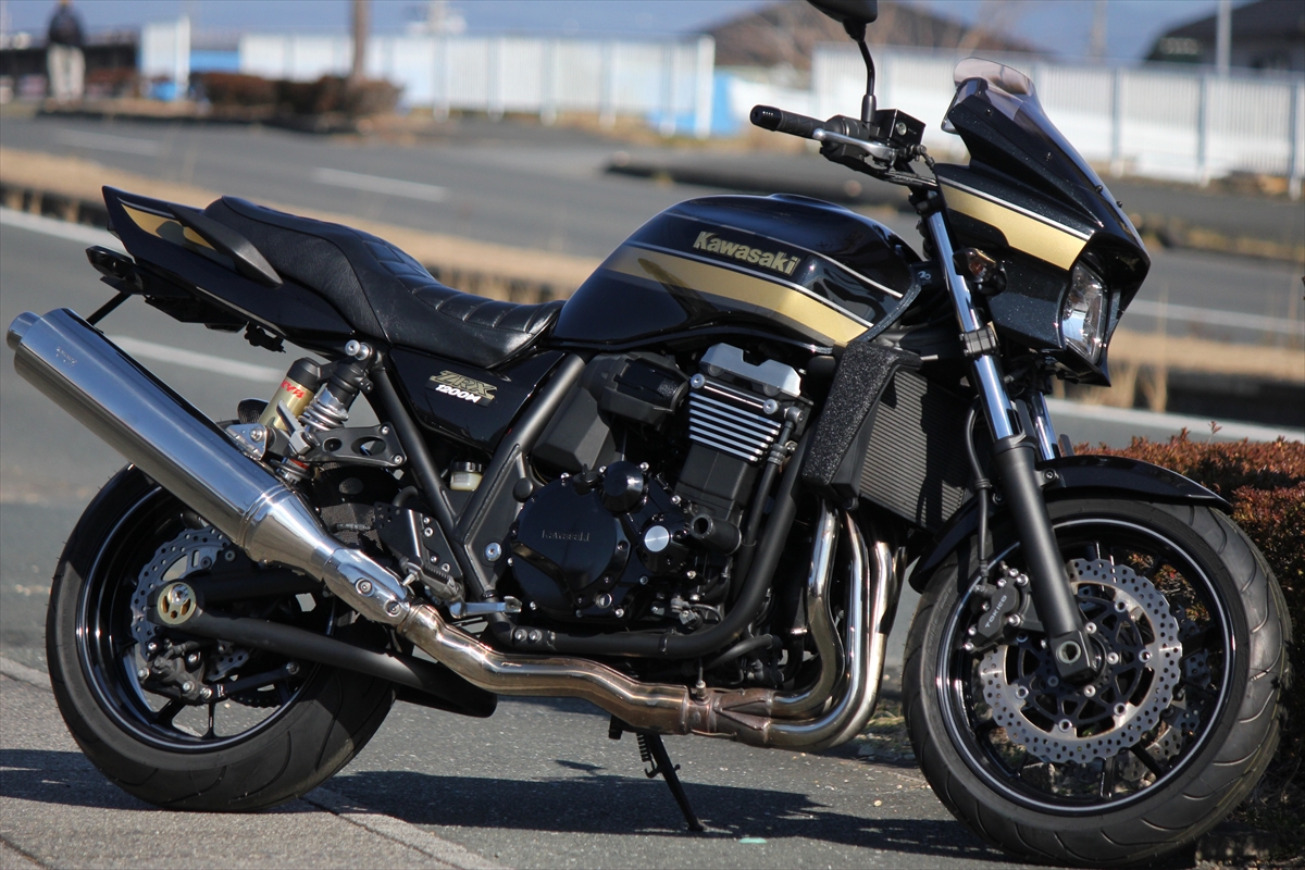 ZRX1200DAEG ZR1200DGF